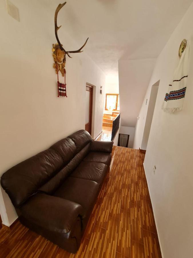 Cazare Luxandra Borşa Exterior foto